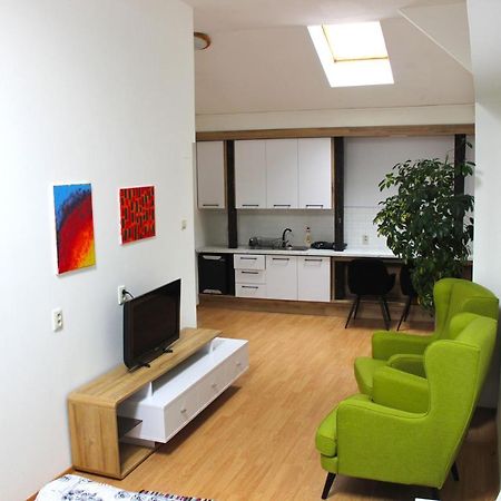 Krasny Priestranny Slnecny Apartman V Centre Mesta Trencin Luaran gambar