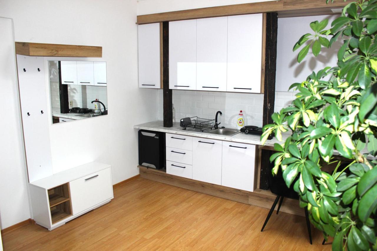 Krasny Priestranny Slnecny Apartman V Centre Mesta Trencin Luaran gambar