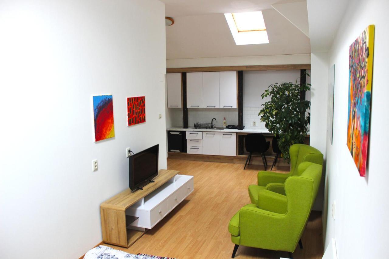 Krasny Priestranny Slnecny Apartman V Centre Mesta Trencin Luaran gambar